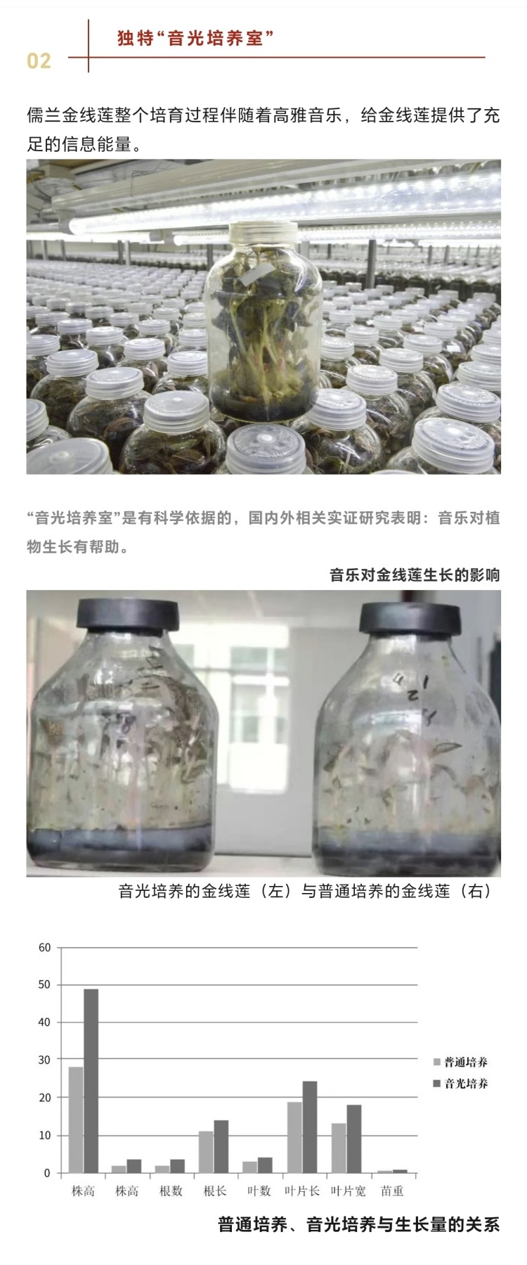 微信图片_20250210164030.jpg