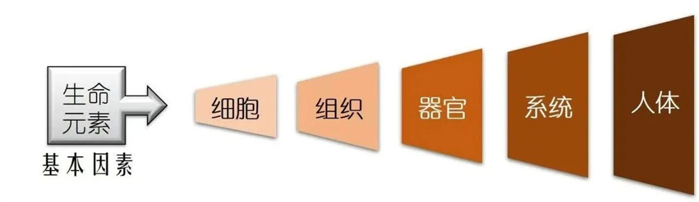 微信图片_20250729082436.jpg 微信图片_20250729082436.jpg