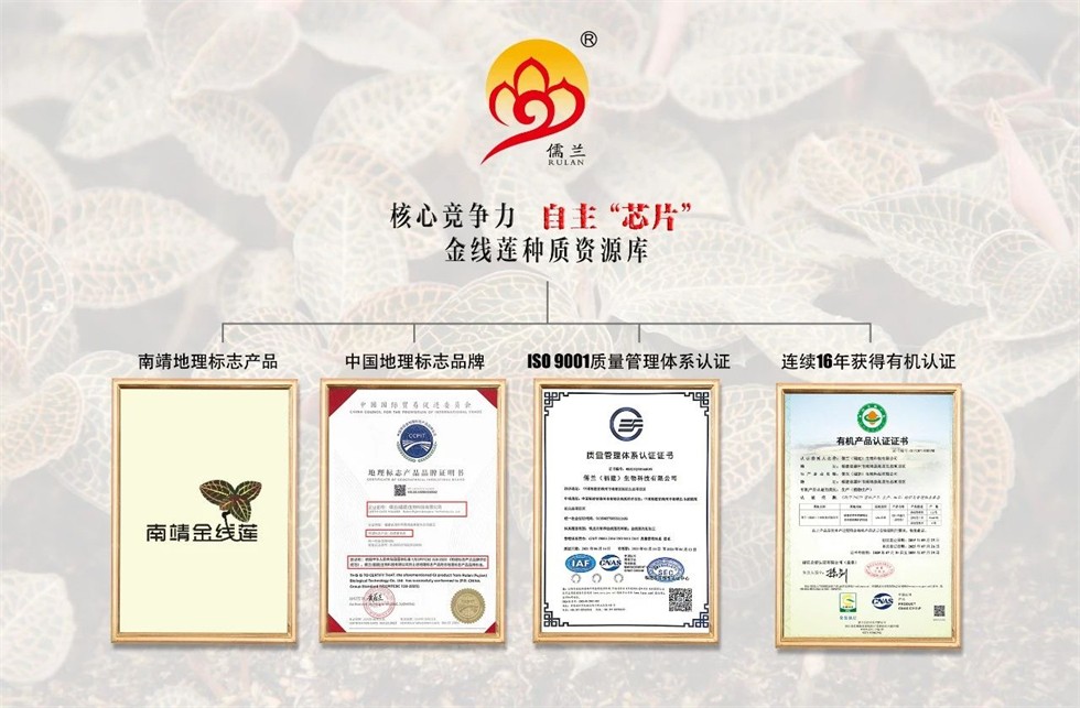 微信图片_20251231090742.jpg