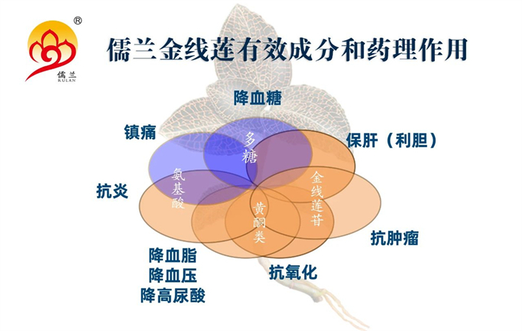 微信图片_20250812103617.jpg